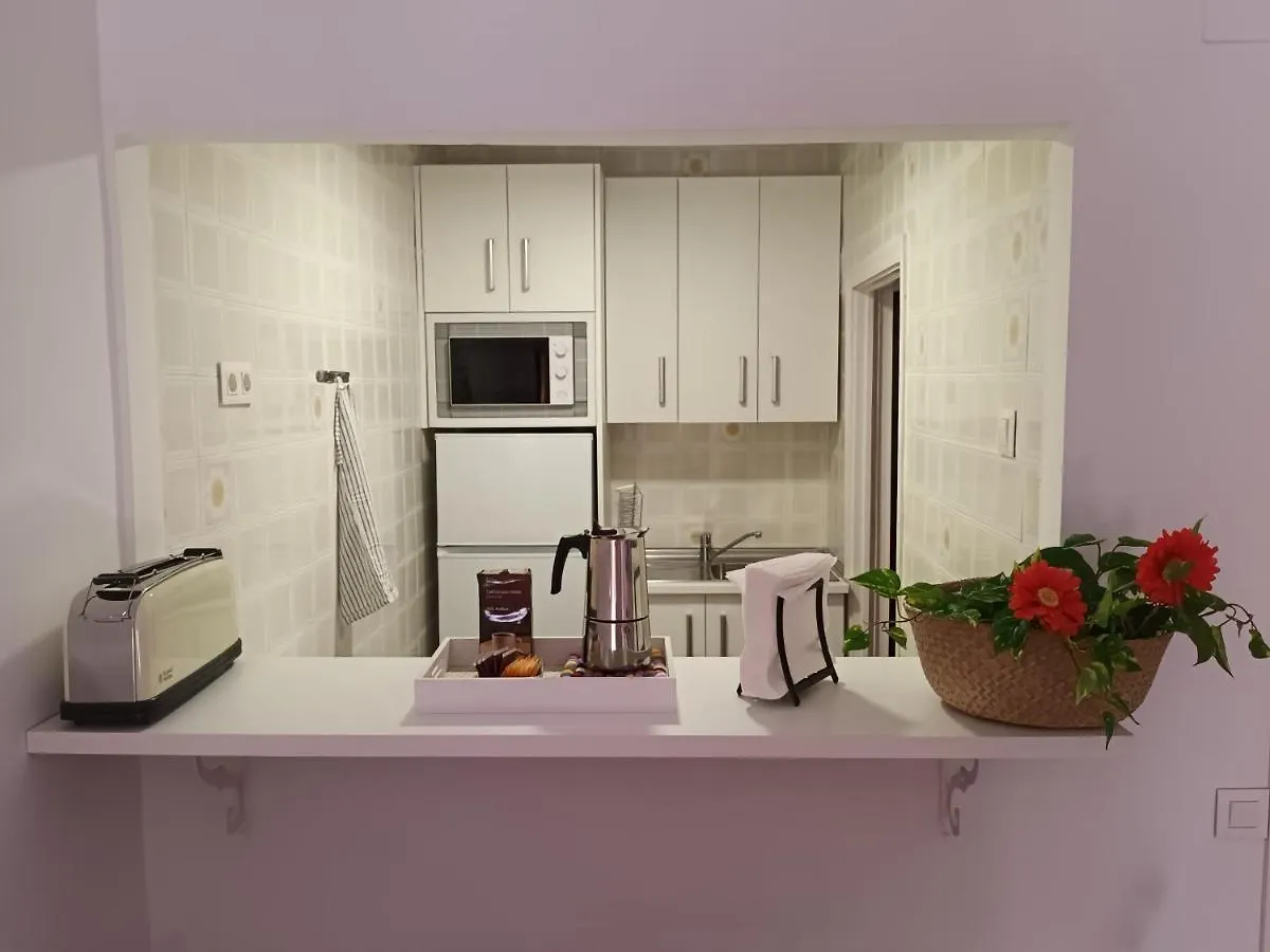 New Maritimo Apartment Malaga